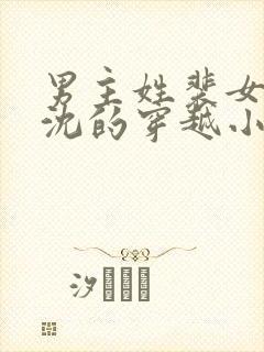 男主姓裴女主姓沈的穿越小说