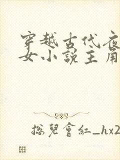 穿越古代夜御两女小说主角