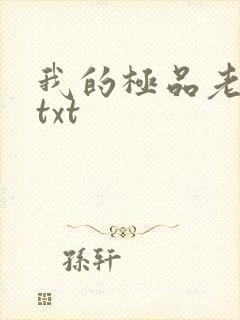 我的极品老婆们txt