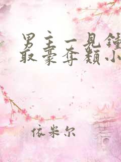 男主一见钟情强取豪夺类小说