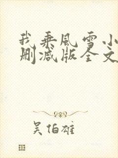 我乘风雪小说未删减版全文阅读