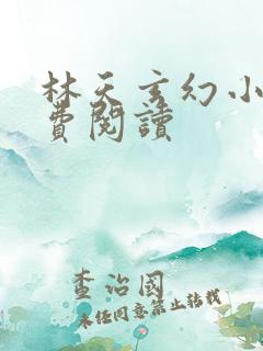 林天玄幻小说免费阅读