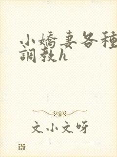 小娇妻各种姿势调教h