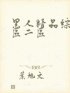 黑人精品综合一区二区