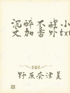 沉醉不醒小说全文加番外txt