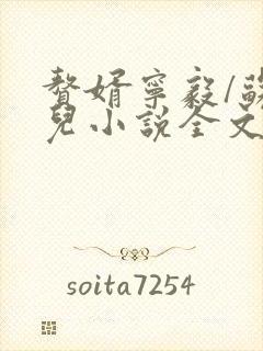 赘婿宁毅/苏檀儿小说全文免费阅读完整版