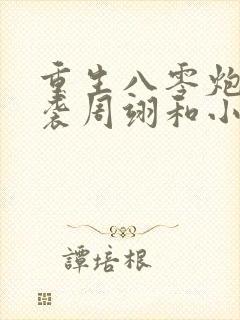 重生八零炮灰逆袭周翊和小说