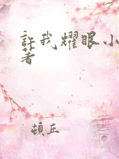 许我耀眼小说原著