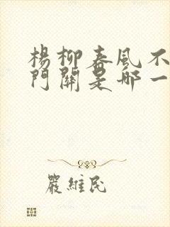 杨柳春风不度玉门关是哪一首诗