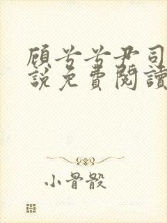 顾兮兮尹司宸小说免费阅读