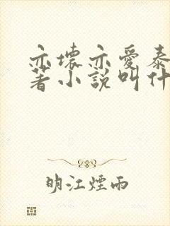 亦坏亦爱泰剧原著小说叫什么