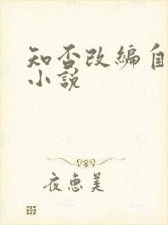 知否改编自哪本小说