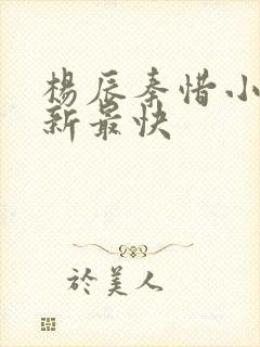 杨辰秦惜小说更新最快