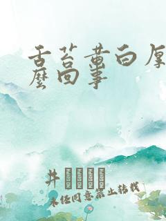 舌苔黄白厚是怎么回事