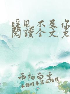 暖风不及你情深阅读全文免费