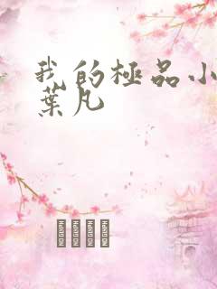 我的极品小姨 叶凡