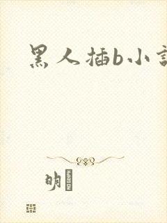 黑人插b小说