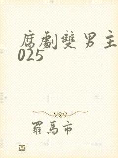 腐剧双男主剧2025