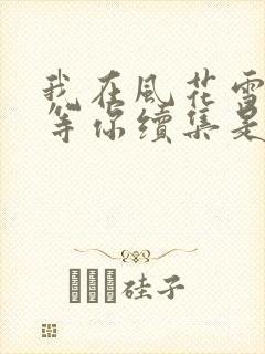 我在风花雪月里等你续集是哪一本