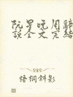 阮星晚周辞深小说全文完结阅读免费