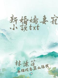 新婚娇妻宠上瘾小说txt