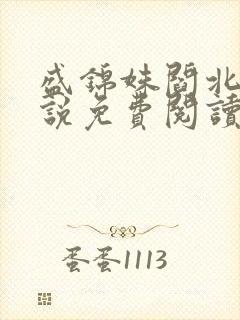 盛锦姝阎北铮小说免费阅读无广告