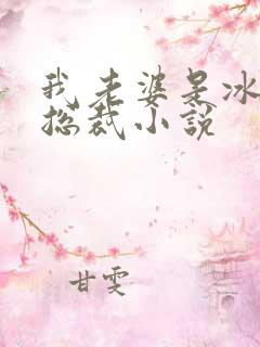 我老婆是冰山女总裁小说