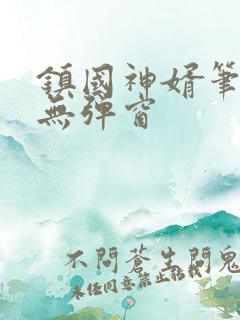 镇国神婿笔趣阁无弹窗