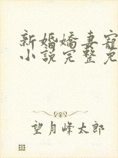 新婚娇妻宠上瘾小说完整免费