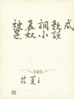 被表调教成她的足奴小说