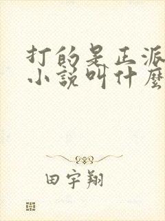 打的是正派原著小说叫什么