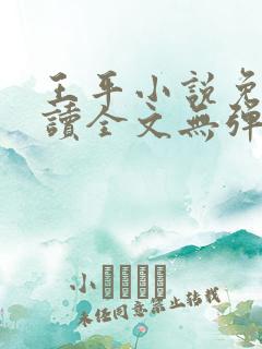 王平小说免费阅读全文无弹窗