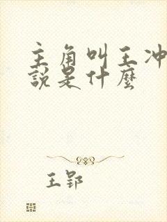 主角叫王冲的小说是什么