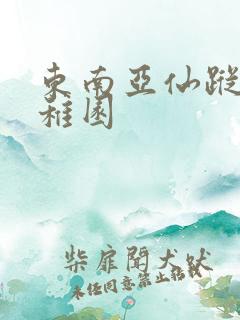 东南亚仙踪林幼稚园