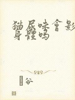 猫尿味会影响人身体吗