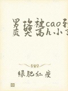 男攻被cao到爽哭高h小说