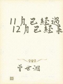 11月已经过去 12月已经来到唯美句子