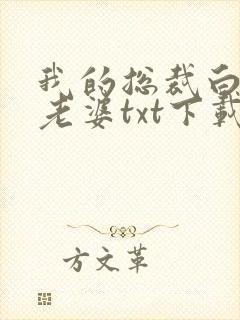 我的总裁白富美老婆txt下载