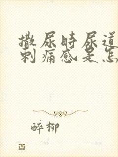 撒尿时尿道口有刺痛感是怎么回事