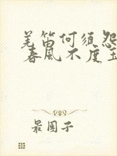 羌笛何须怨杨柳 春风不度玉门关什么意思