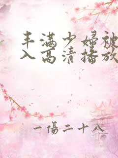 丰满少妇被猛进入高清播放