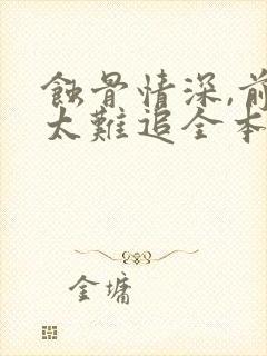 蚀骨情深,前妻太难追全本下载