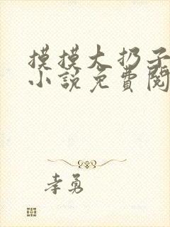 摸摸大扔子原著小说免费阅读