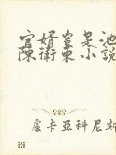 官婿岂是池中物陈卫东小说阅读