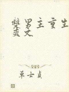 双男主重生复仇爽文