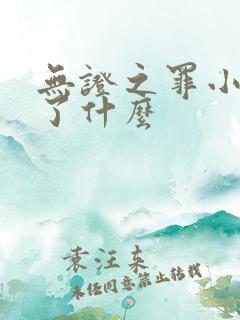 无证之罪小说讲了什么