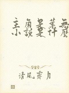 主角是叶无道的小说是什么
