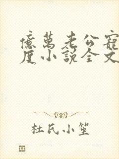 亿万老公宠妻无度小说全文