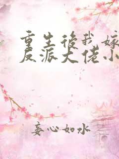 重生后我嫁给了反派大佬小说