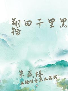 翔田千里黑人番号